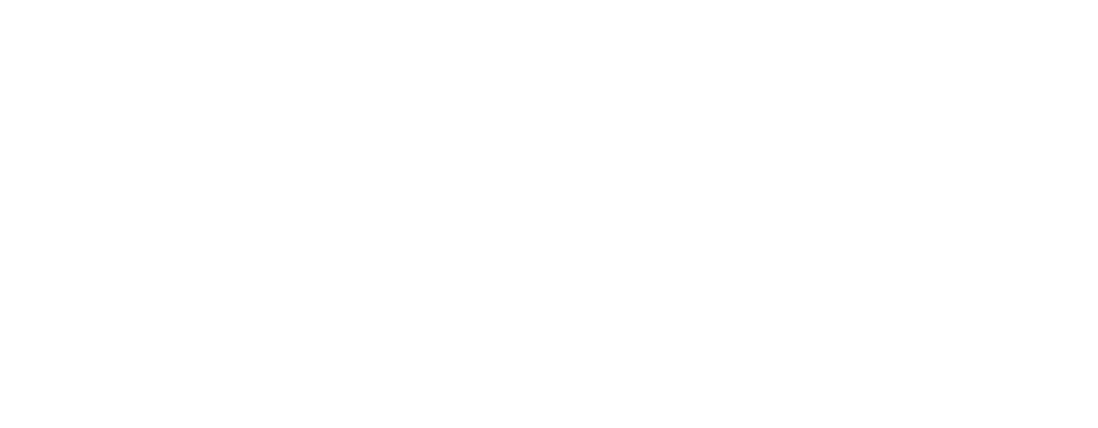 DI Logo_NoYearNoTagline_whiteTM Disability Index logo